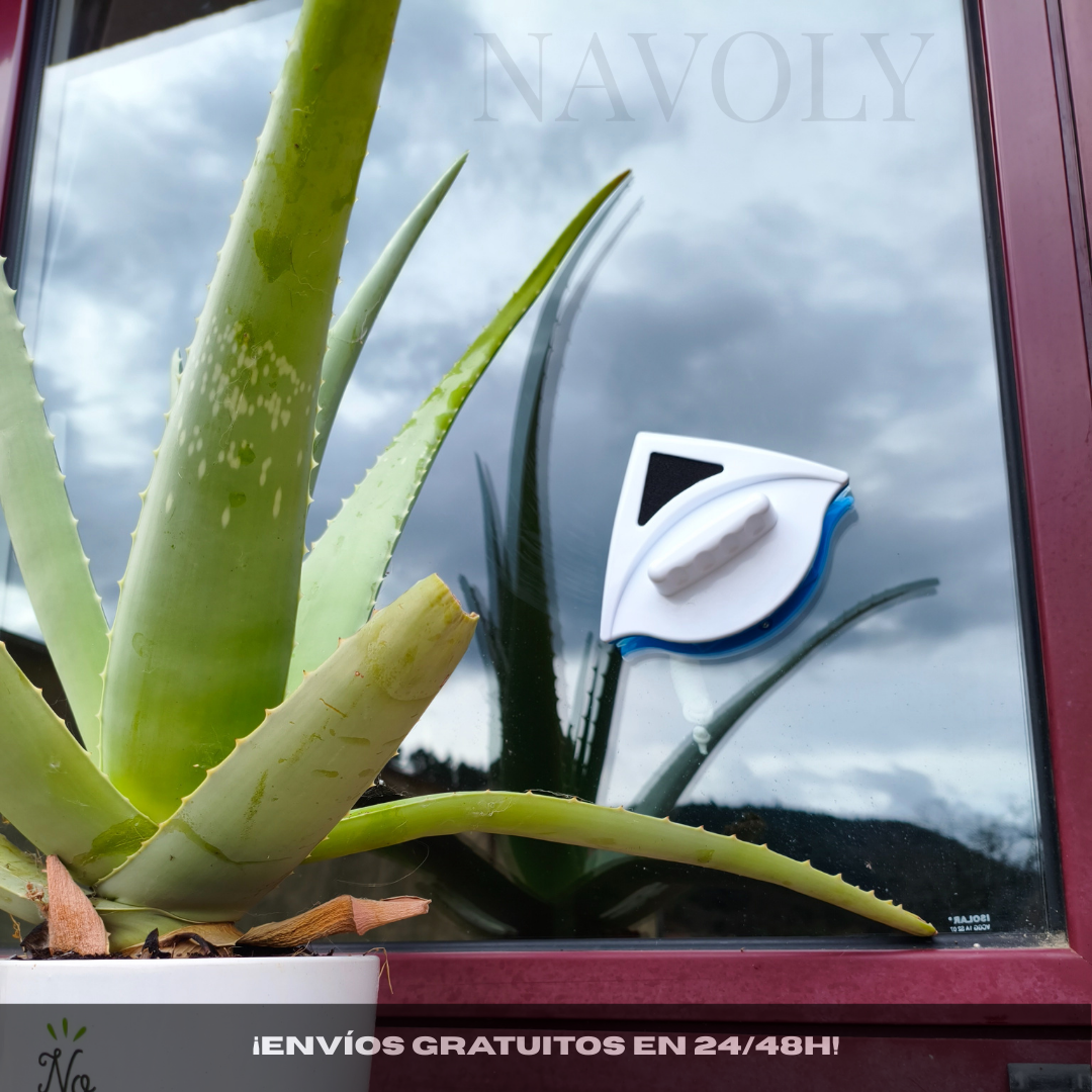 Limpia Cristales Magnético